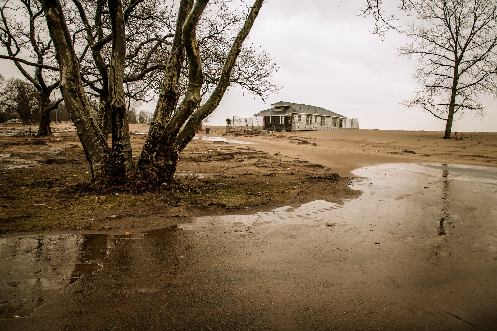 art-of-sandy-mo-staten island 2-16.jpg